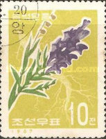 (1967-029) Марка Северная Корея "Шлемник байкальский"   Лекарственные растения III Θ